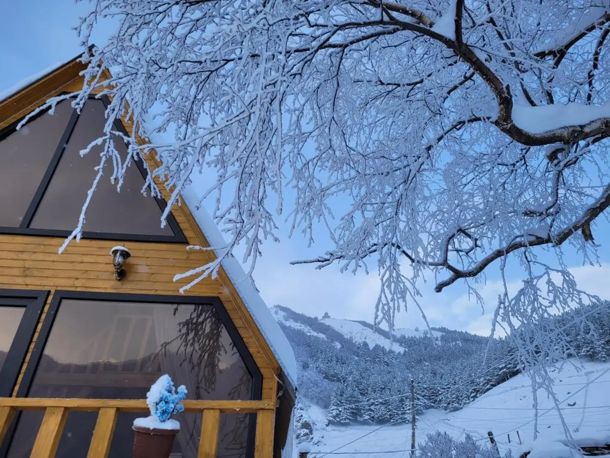Pine Chalet Kazbegi