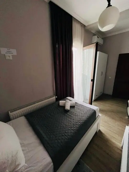 Borjomi inn