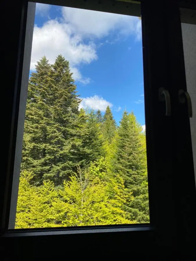 Mountain Dream