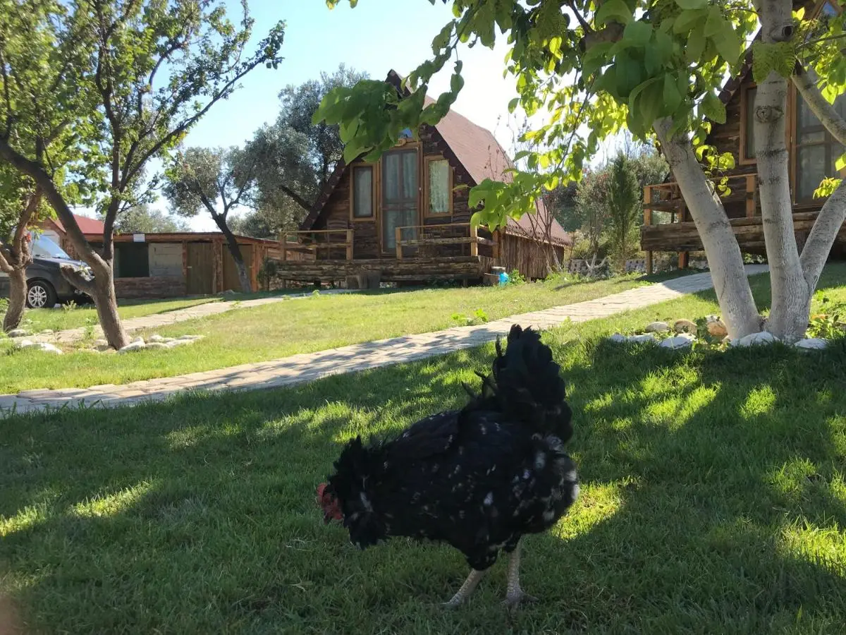 Kazdaglari Ida Natura Bungalov Hotel