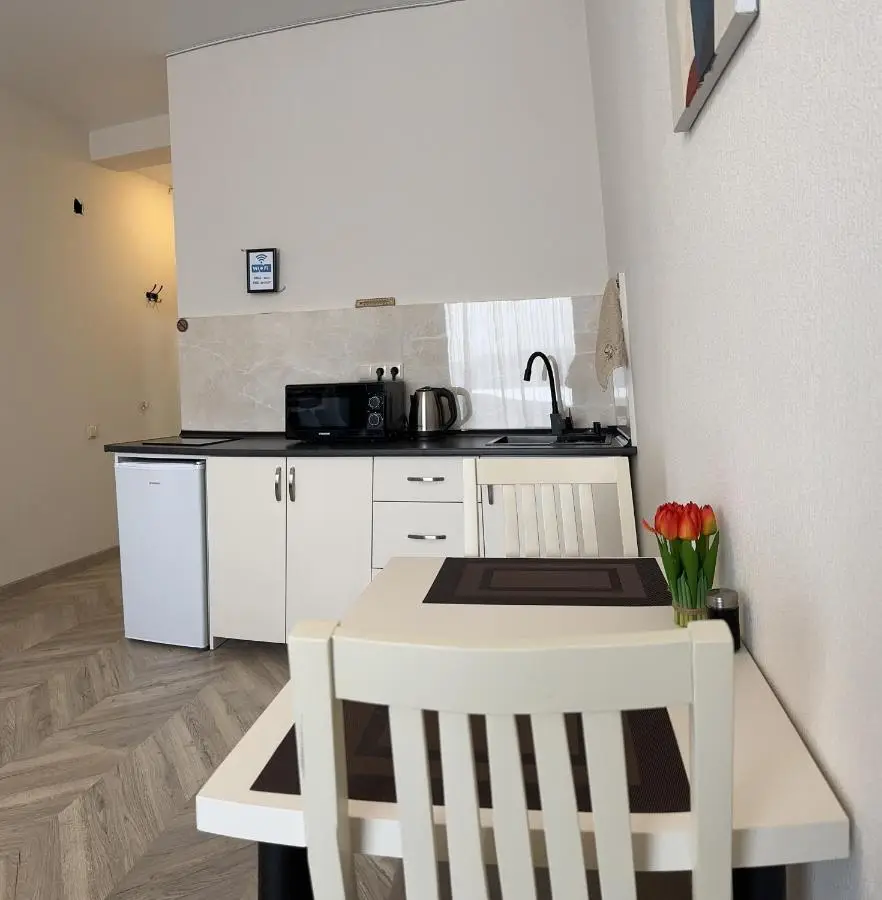 BROTHERS APARTMENTS WITH TERRACe IN OLD TBILISI