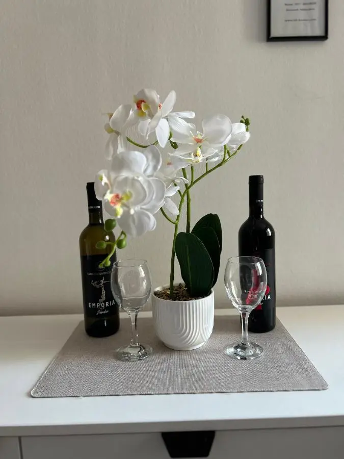 Duplex Apartment - in City Center