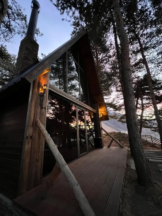 Elia Loft
