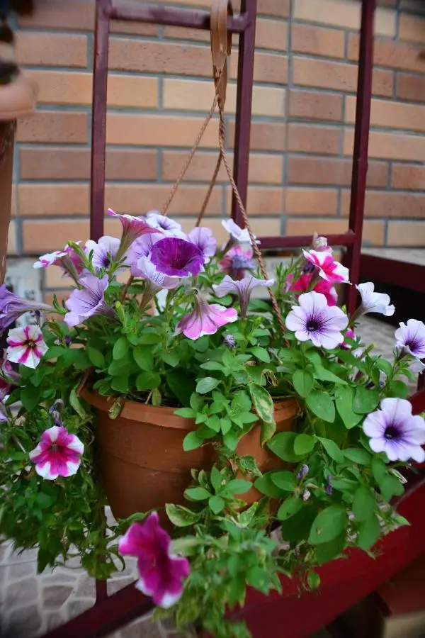Stumari Apartaments