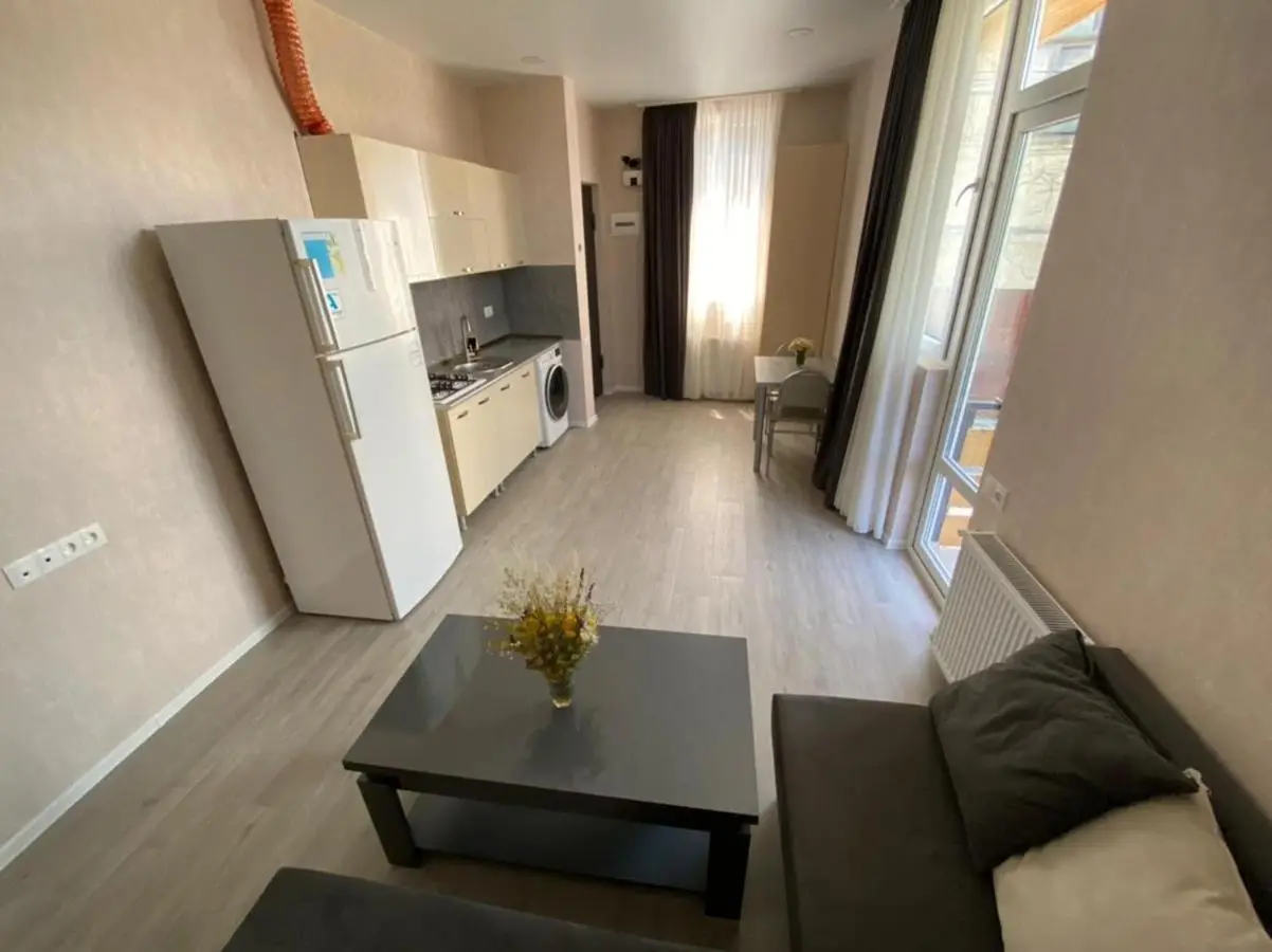 Nikas apartment with balcony in old Tbilisi
