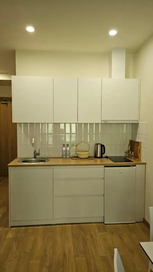 Arkhi Kokhta Bakuriani Apt 304