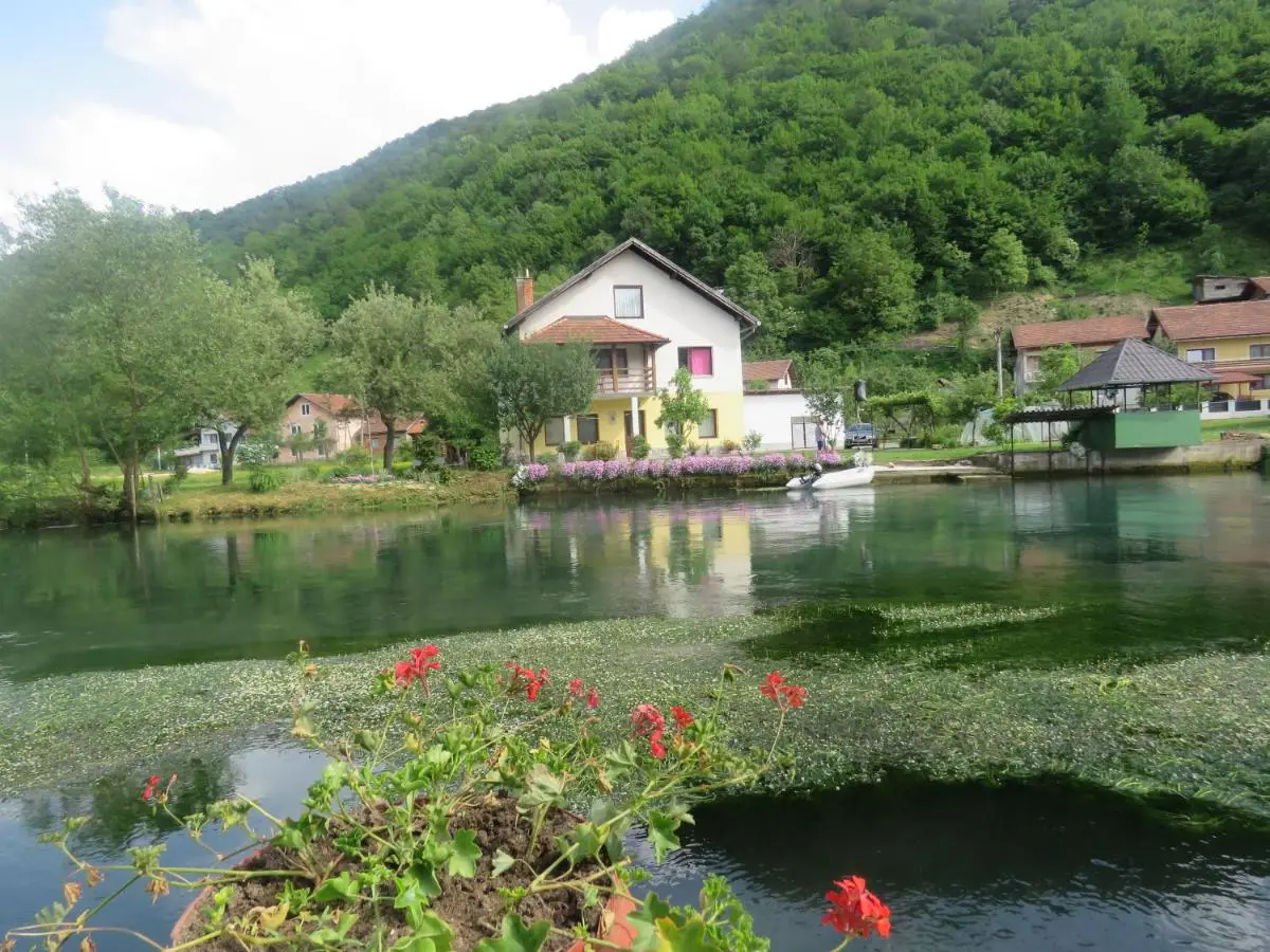 Pliva