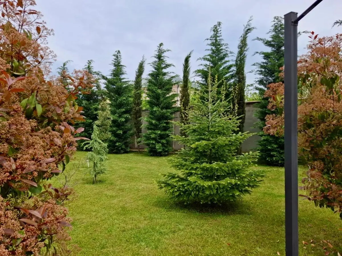 Villa Lux in Quba
