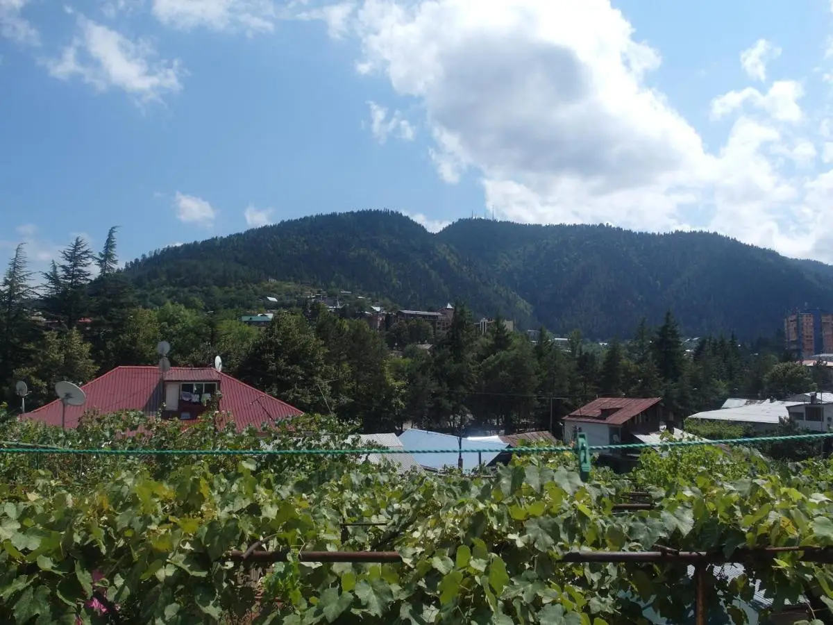 Villa Lazika