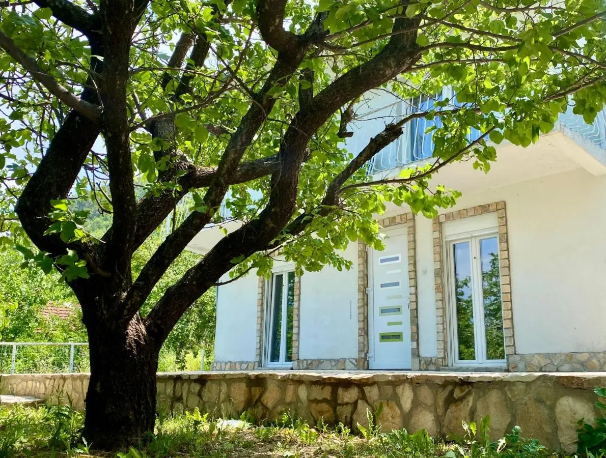 Guest House Ivano