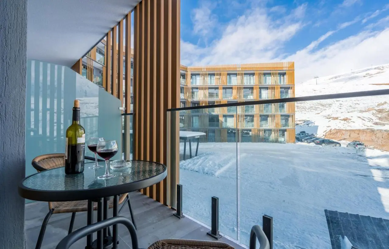New Gudauri Atrium Apartments with Kitchen