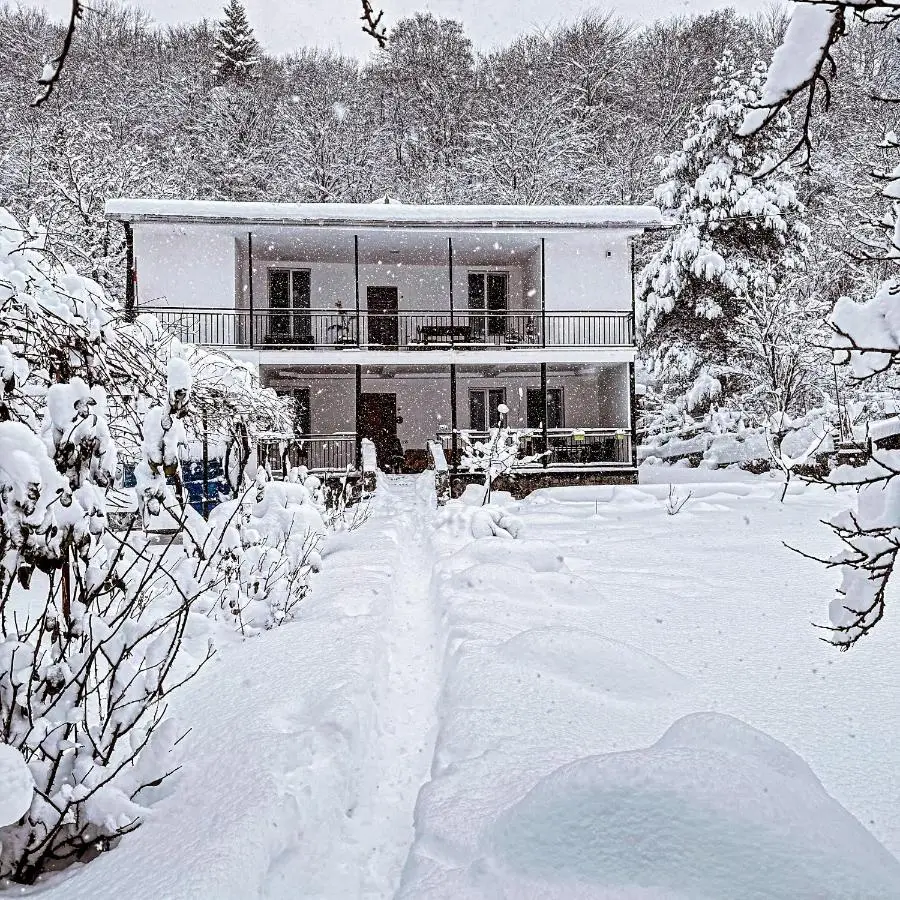 Family hotel mountain panorama