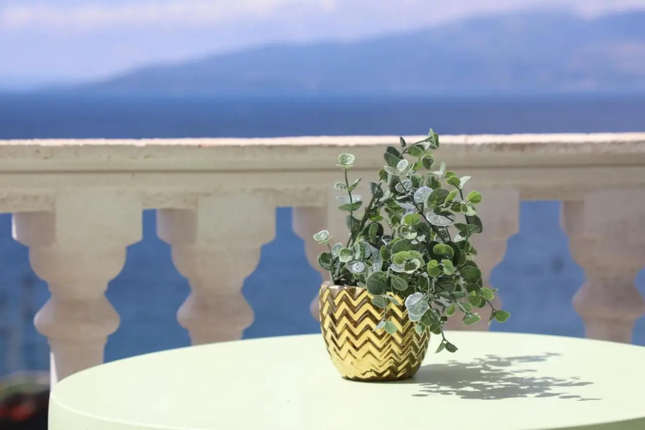 Saranda Apartaments Meta