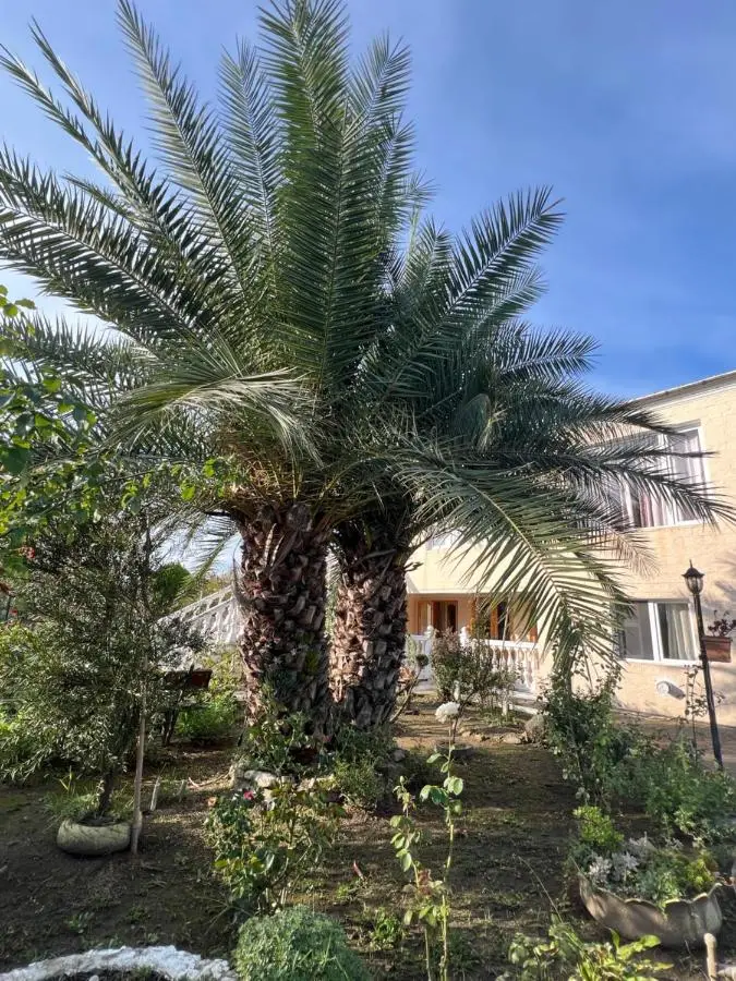 House - Kutaisi International Airport 15 Minutes- Quiet cozy house with parking