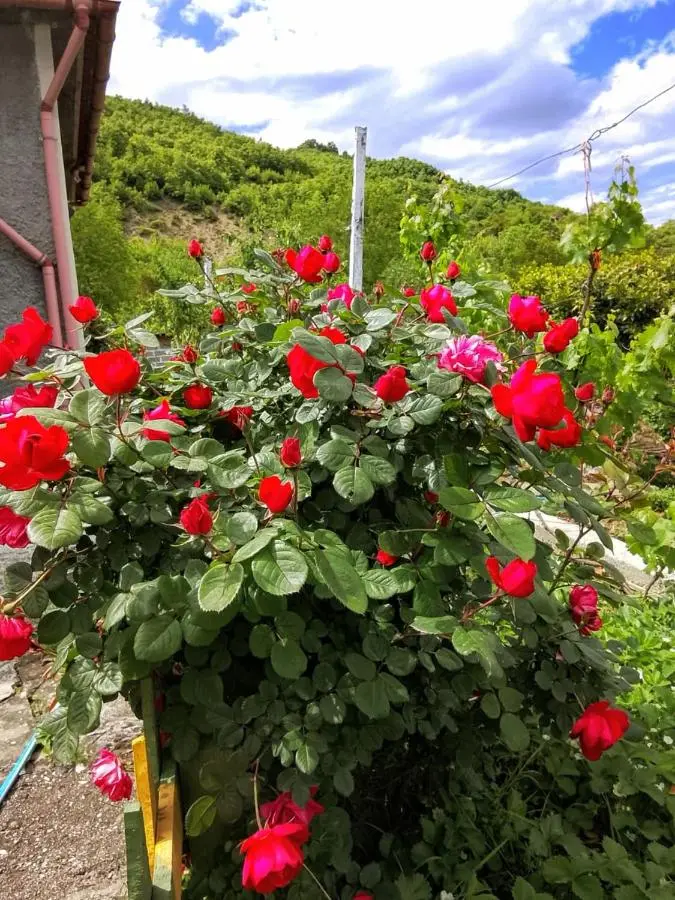 Spring Village Home
