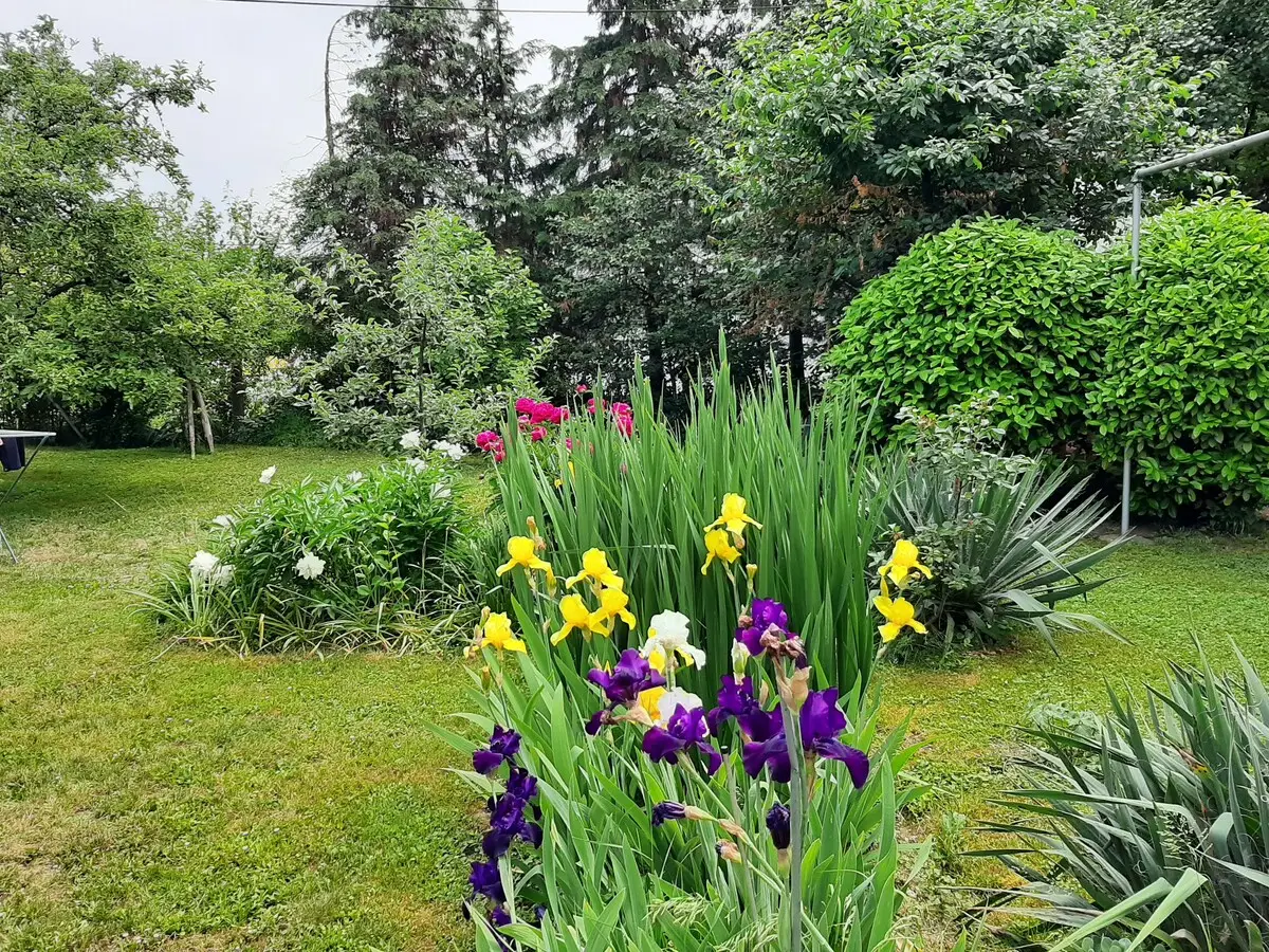 Magnolija - Comfortable Apartment near City Center
