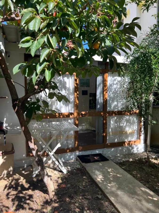 Studio Tirana