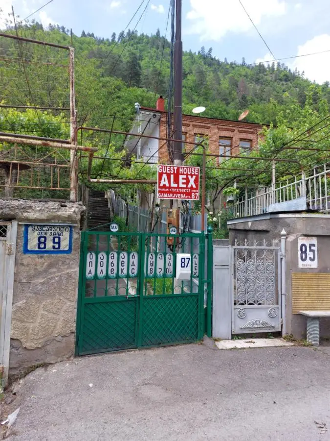 Alex