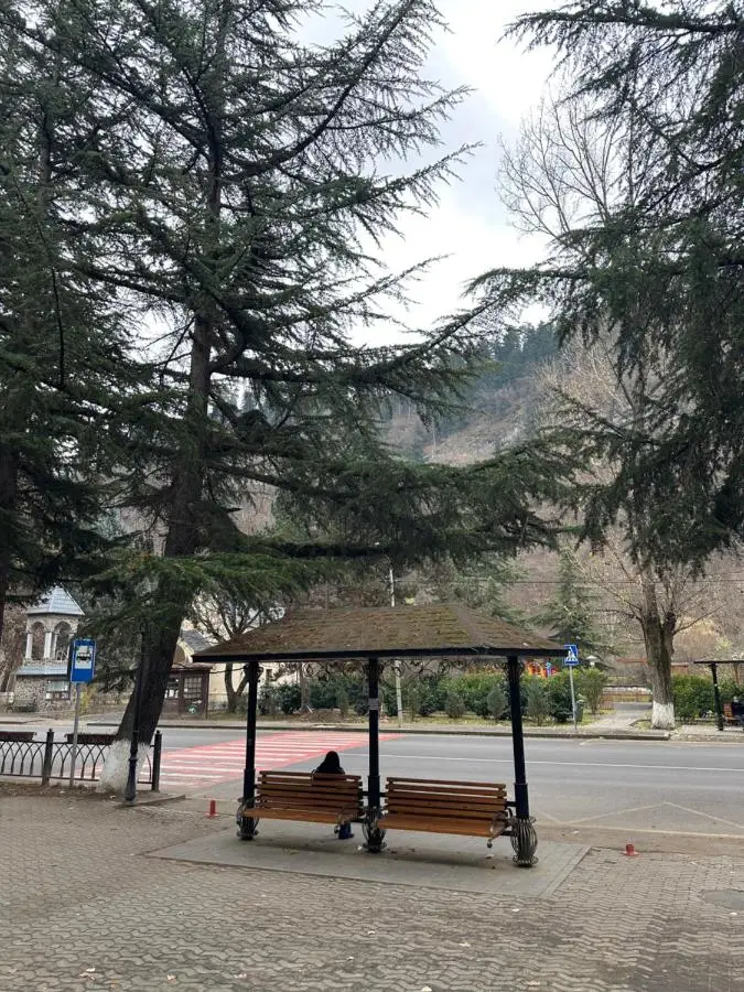 Modern apartment in Borjomi