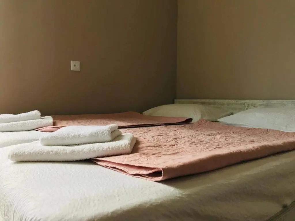 Guest House Check in Borjomi