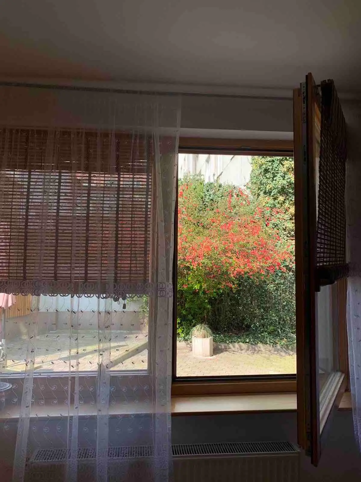 Central Apartment - Great Energy - Private Garden!