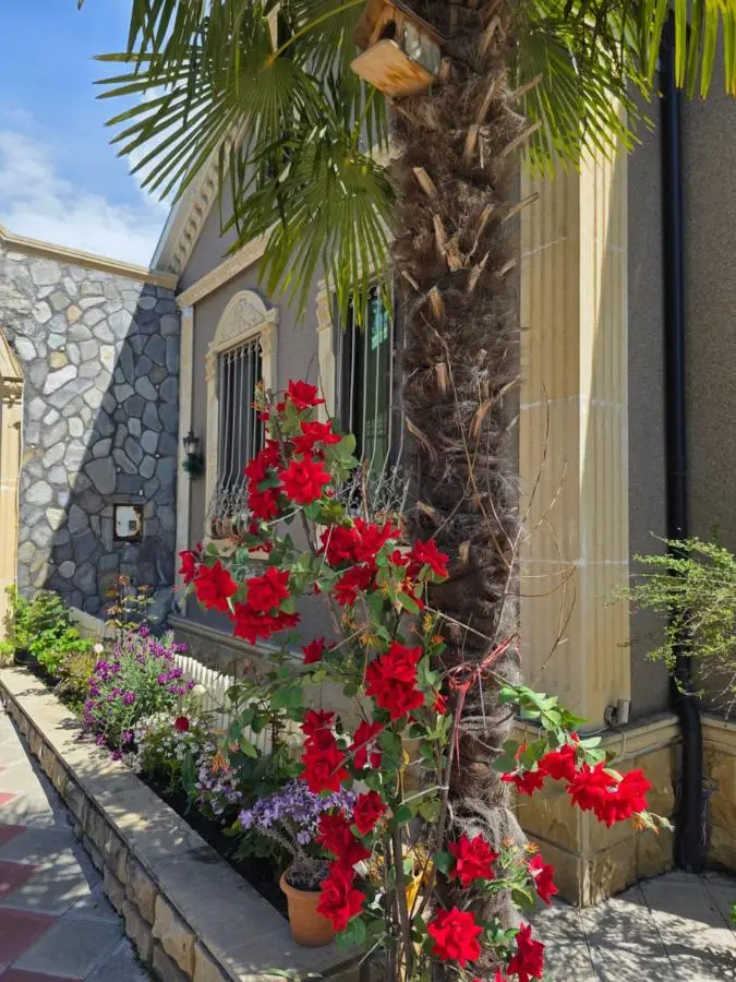 Museum Luxury Guest House