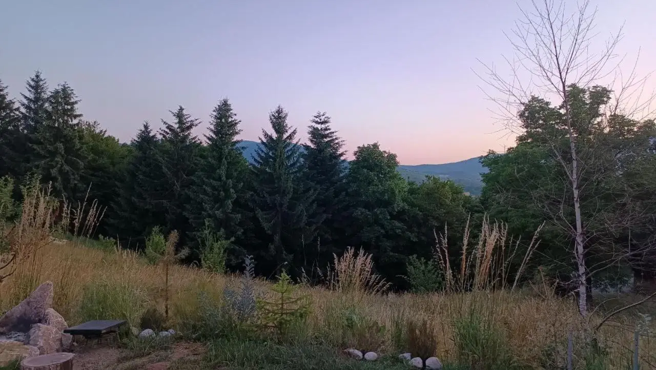 ZenFrame Cabin