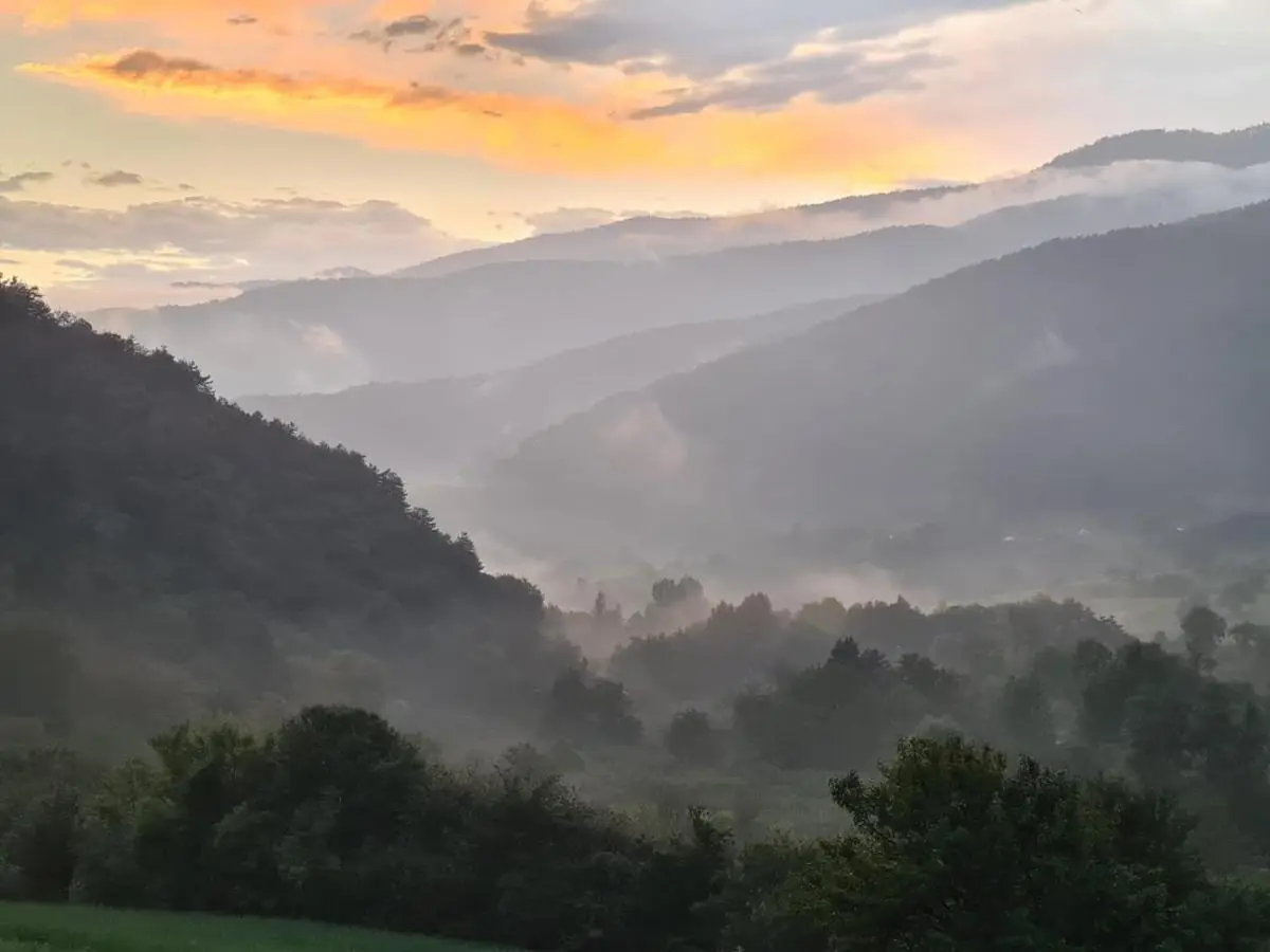 DENGEKORU Wildlife & Glamping