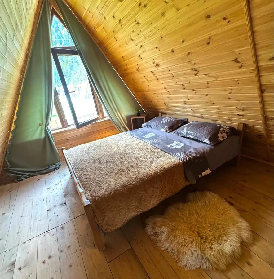 Forest hut