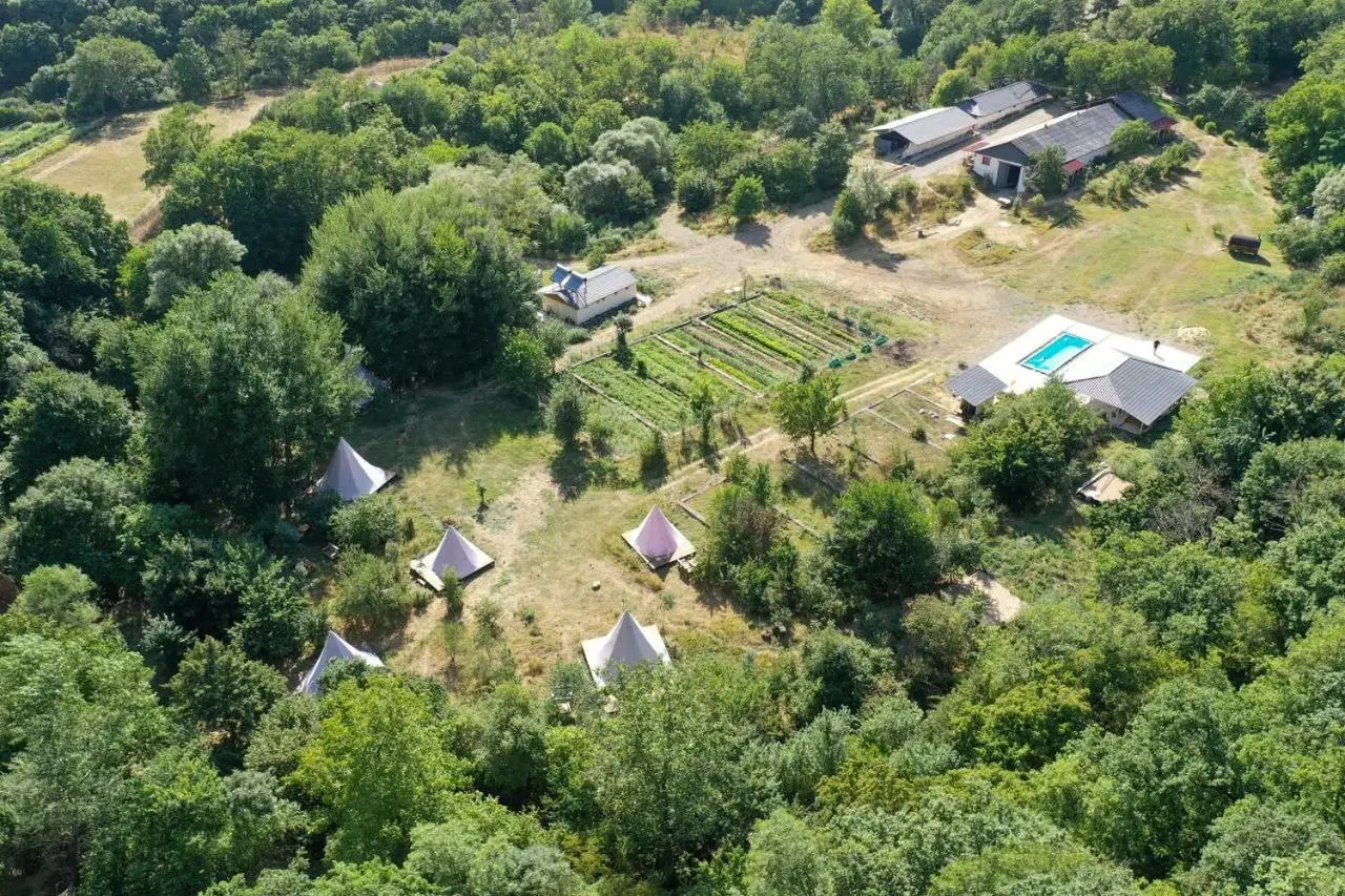 Gipsy Village Park Hotel