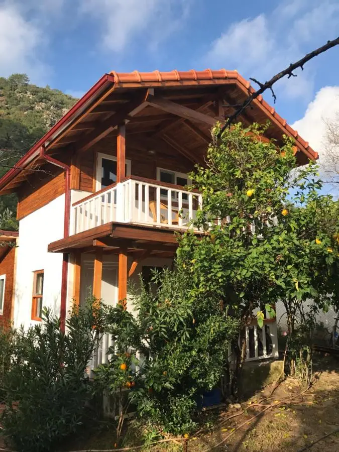 Villa Zeytin