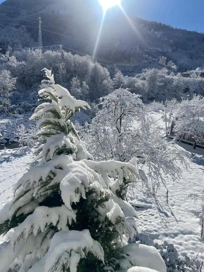 Yeşil ve huzur dolu bir daire