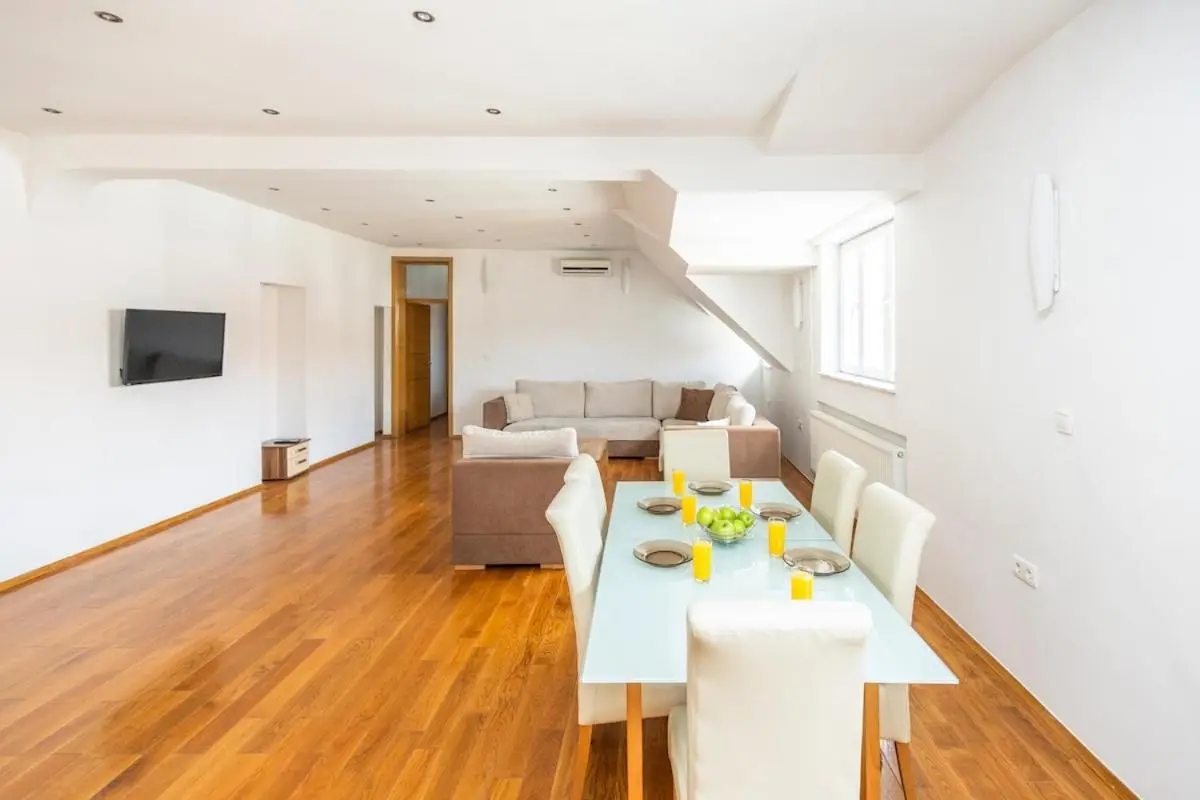 Spacious Apartment in Downtown