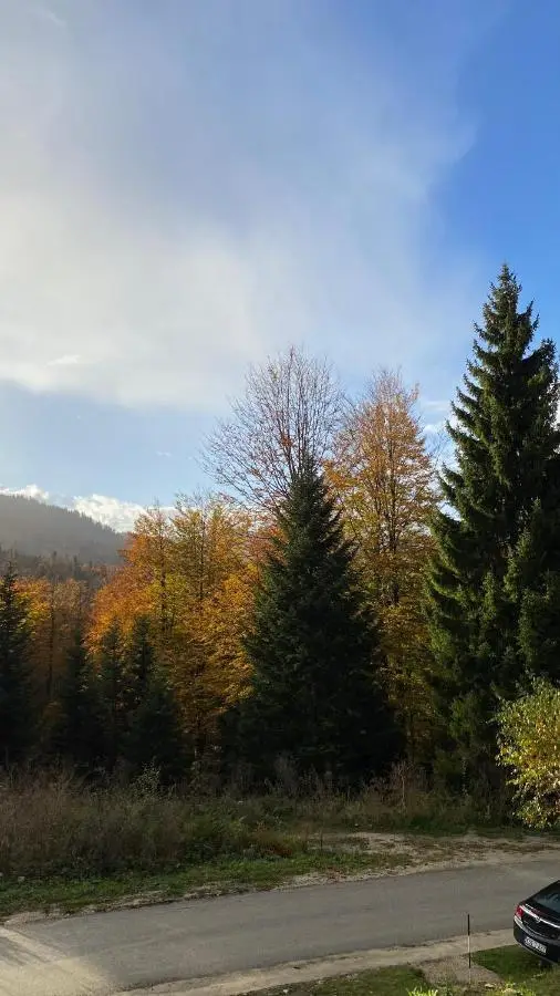Alpi Cabin Pridolci