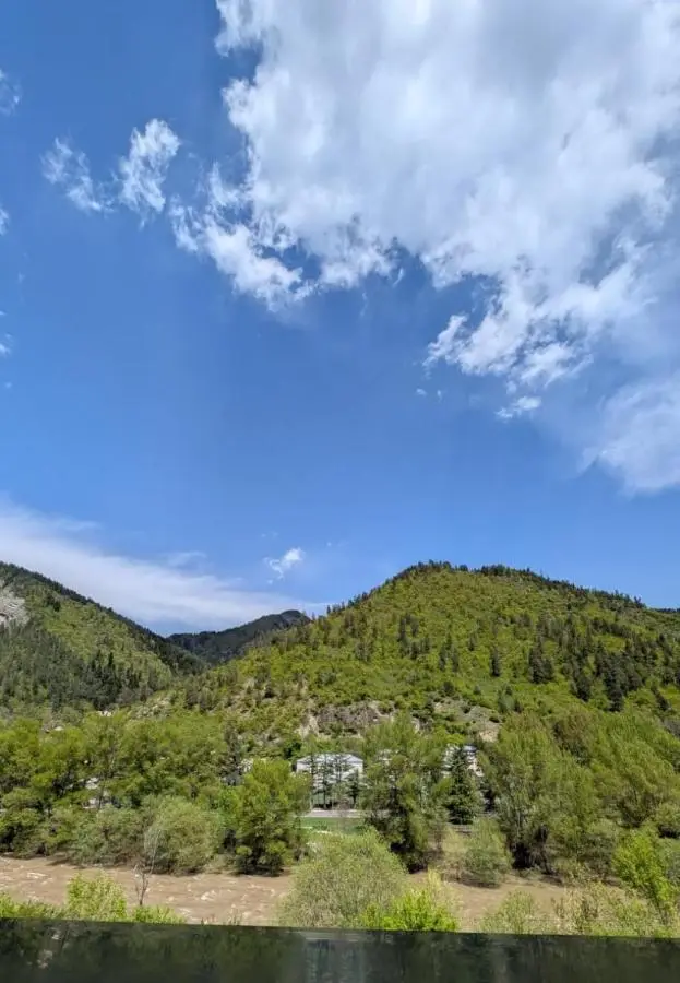 Gari's apartment next to Borjomi Central Park