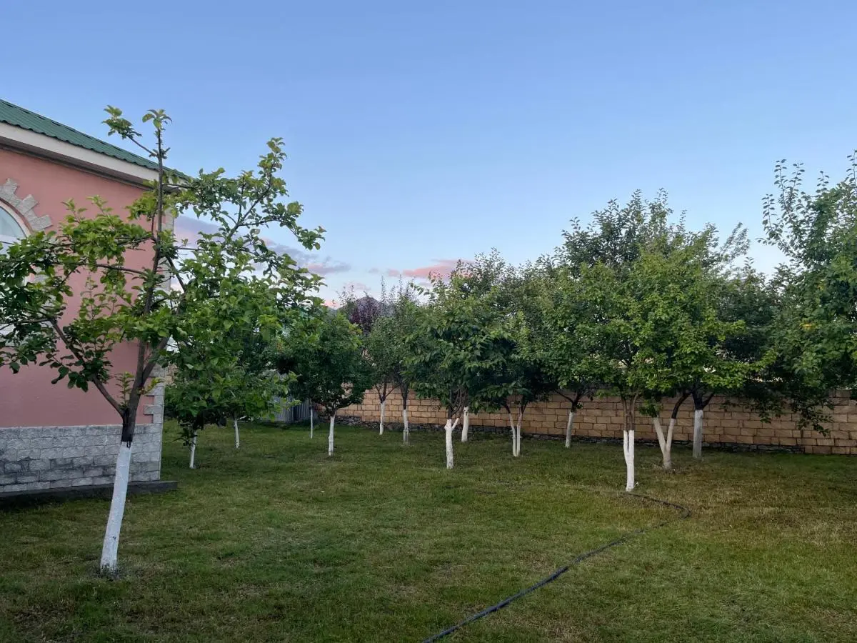 Gabala Home