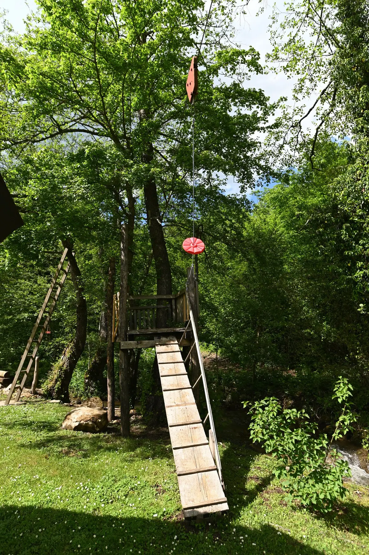 Nina's Cabin