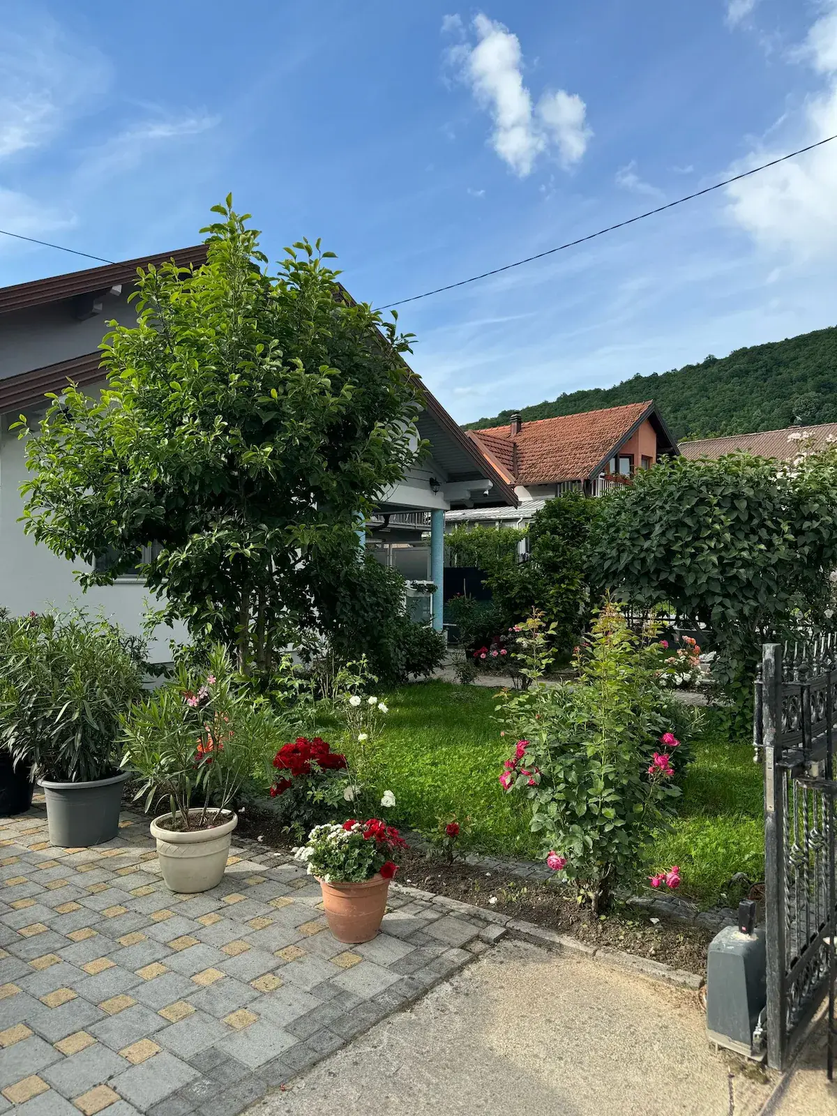 Apartman  Deluxe Holiday