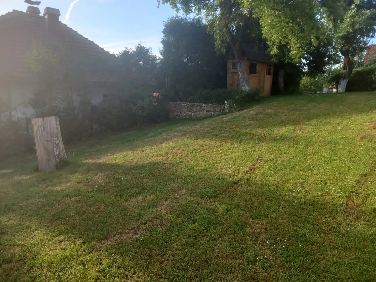 1-min to Bus /  House with Big Garden and BBQ