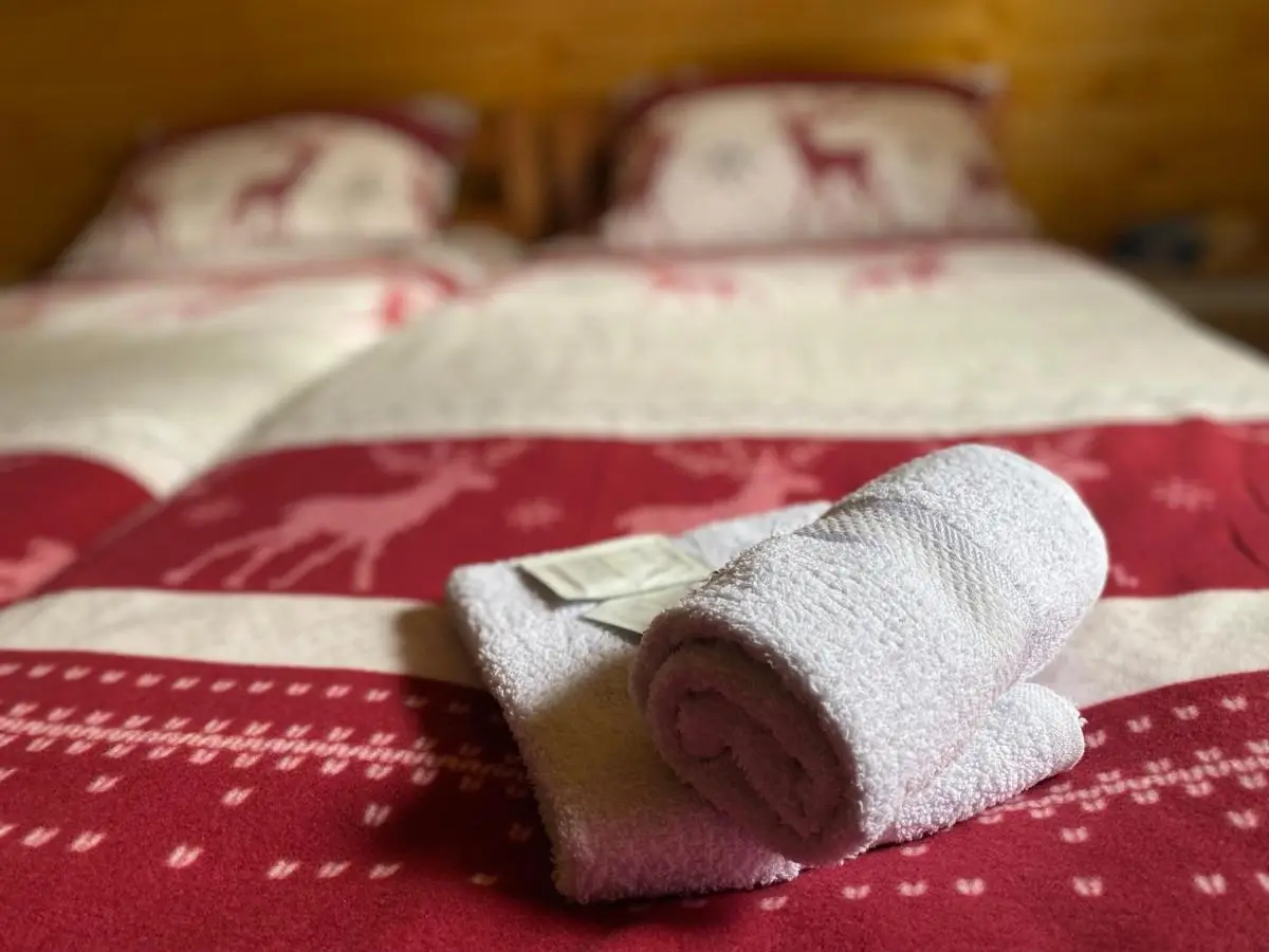 Apartmani Snježna Kraljica Vlašić 1