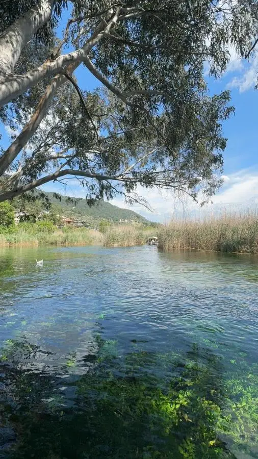 The Dalaman Suites & Pansiyon Dalaman Airport 10 km