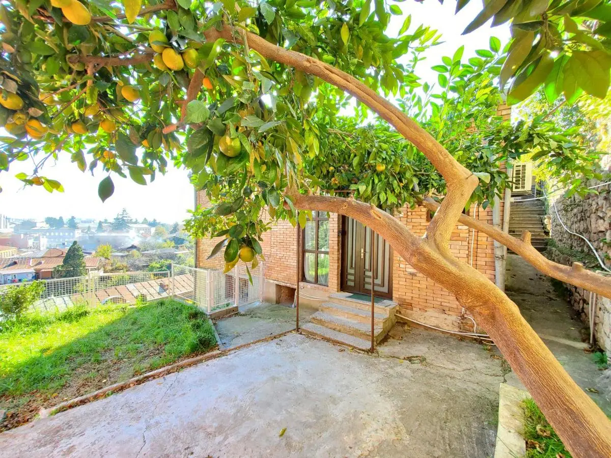 Plagio Green Terrace Homes
