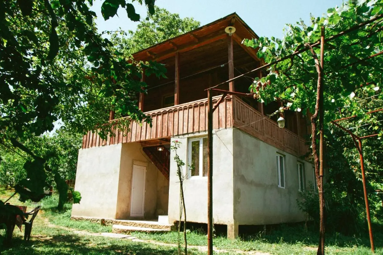 tsereteli's house