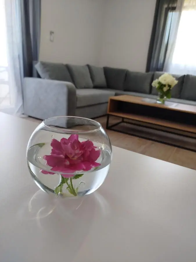 Apartman David