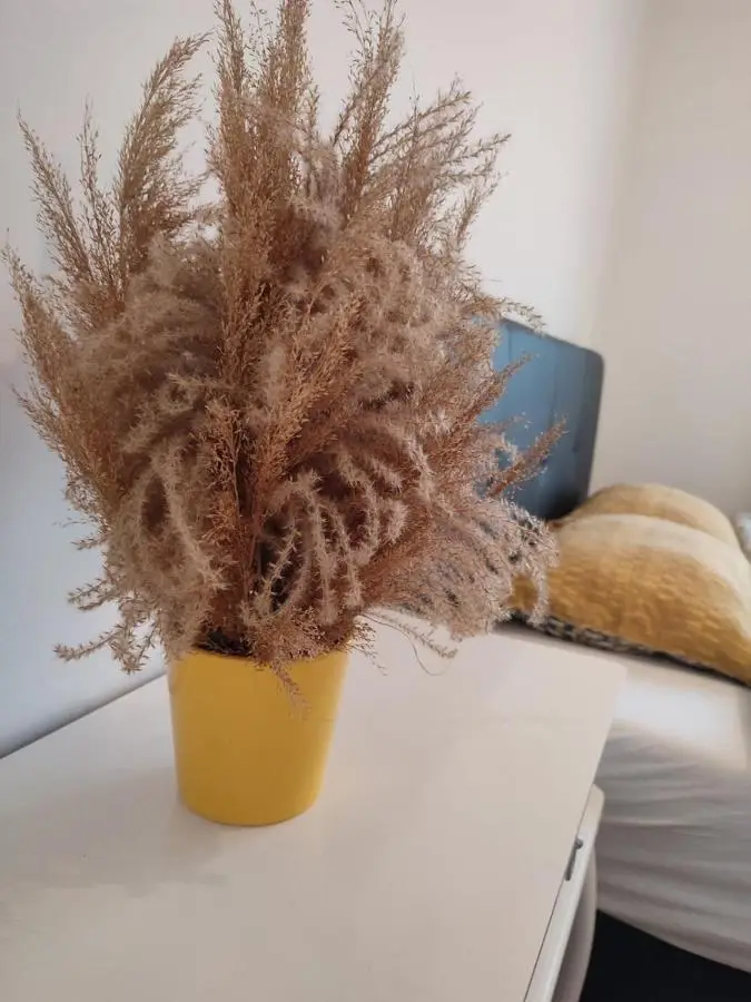 Apartman Sedra