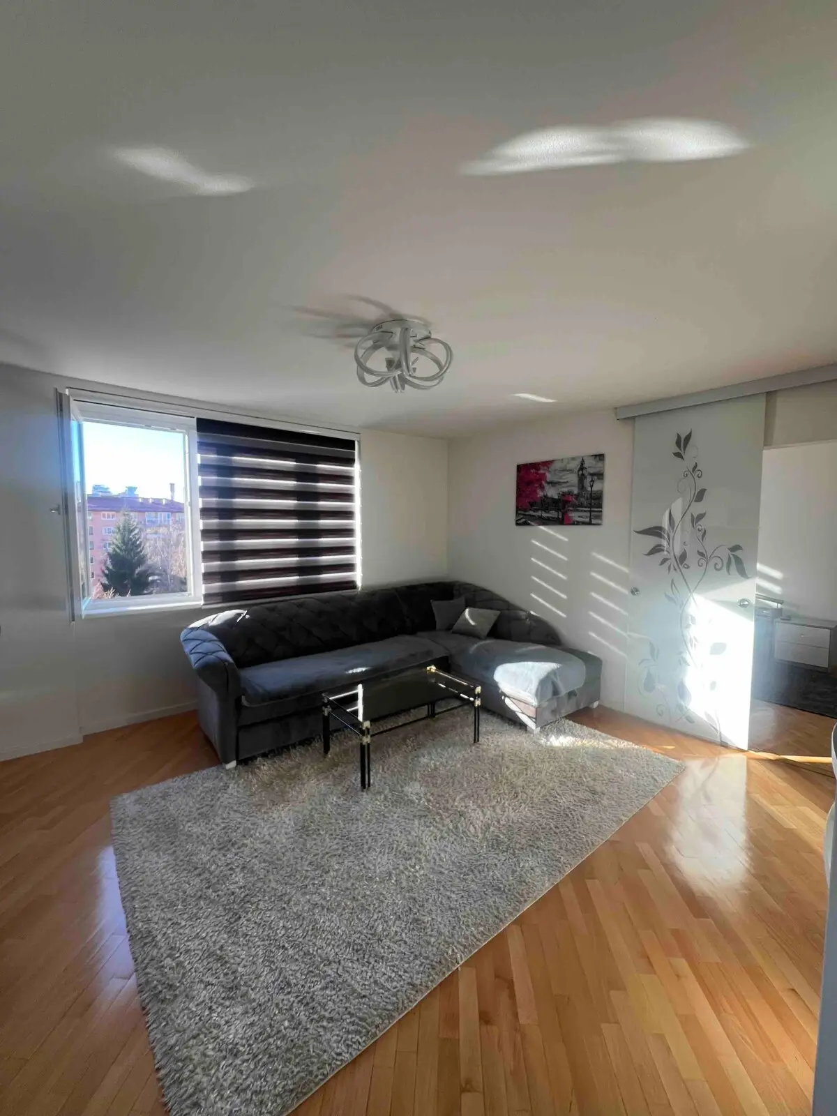 Luxury fresh renovated apartment