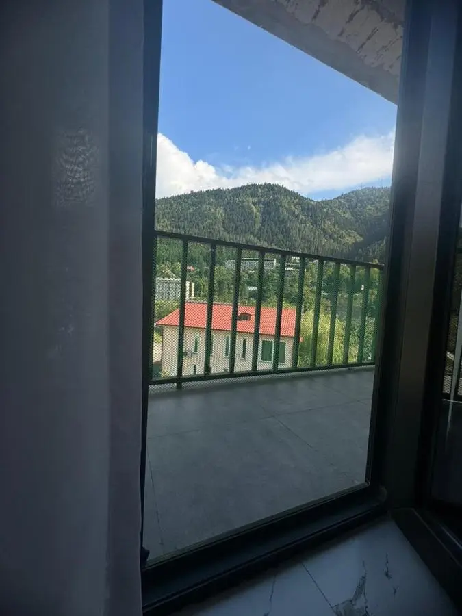 New apartments in borjomi