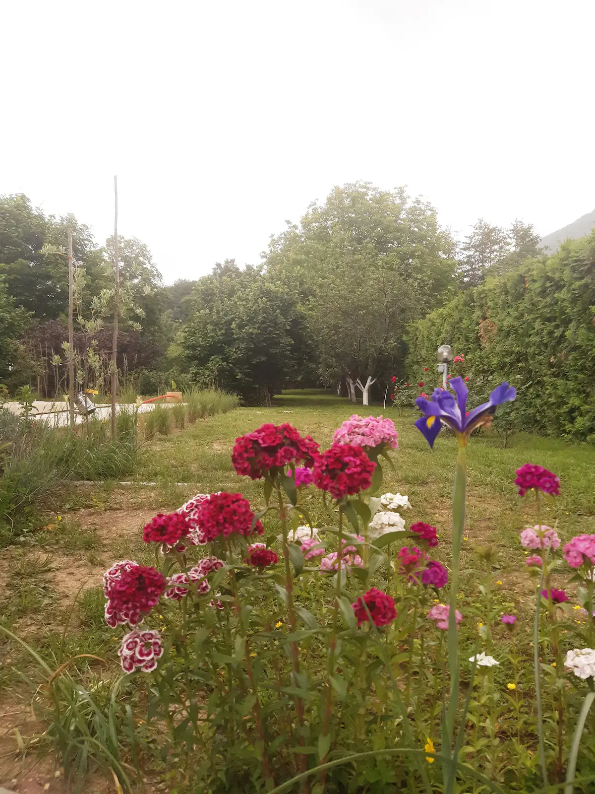VILLA about min 3 persons - max 6 persons.