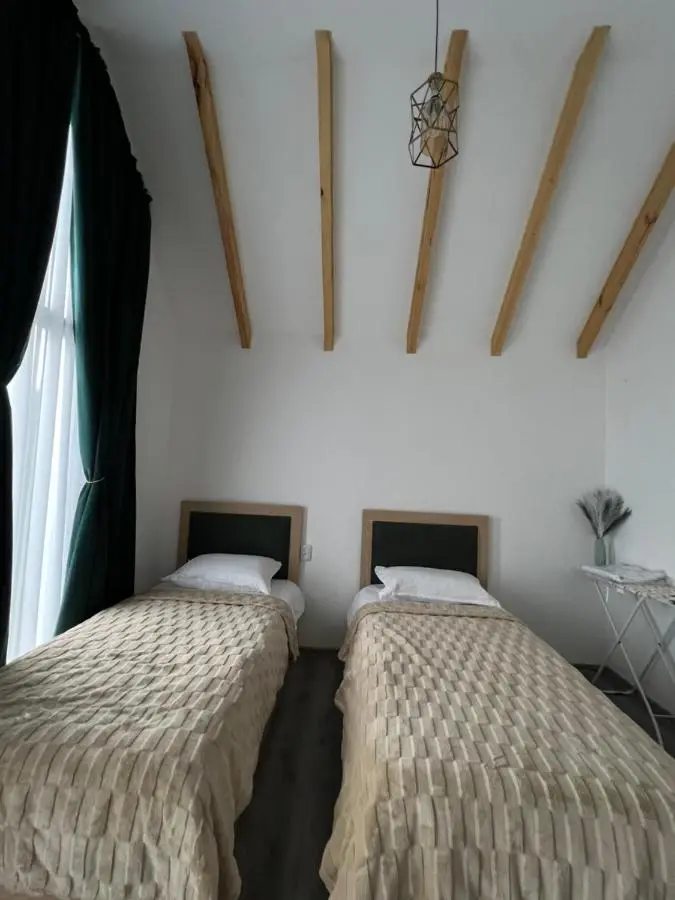 MTA house - Borjomi
