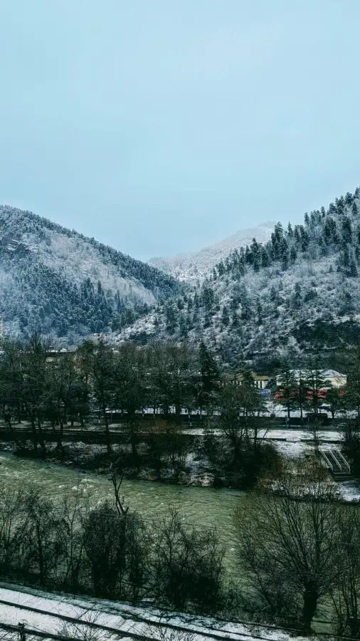 Gari's apartment next to Borjomi Central Park